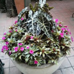 Seller Image